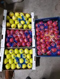 Apple - Red or Yellow