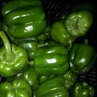 Bell Pepper