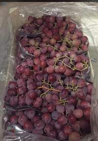 Black Grapes