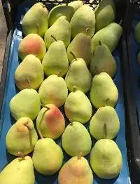 Pear