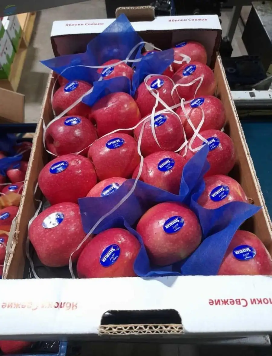 Apple - Red Or Yellow