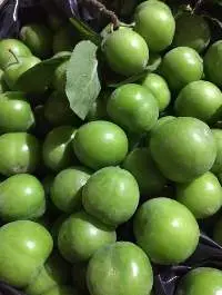 Plum