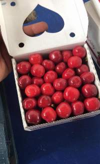 Cherry