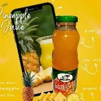 300ML KGN Natural Juices Glass Bottles 24pk