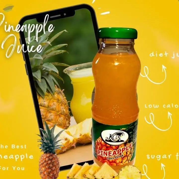 300ML KGN Natural Juices Glass Bottles 24pk