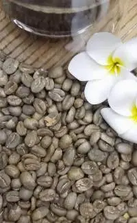 Green Beans Arabica Coffee