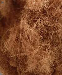 Coco Fiber