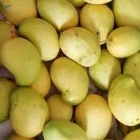 Mango And A Rambutan