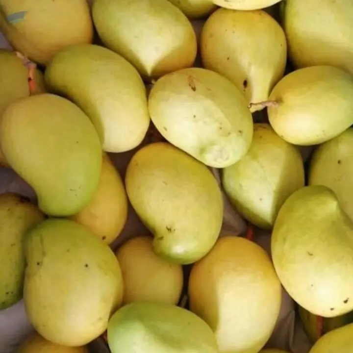 Mango And A Rambutan