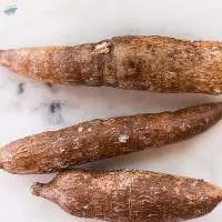 Fresh Cassava