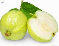 Guava