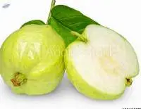 Guava