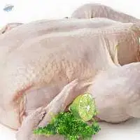 Frozen Chicken