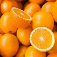 Premium Quality Fresh Orange