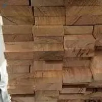 Premium Ash Wood Logs and Lumber  