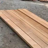 High-Quality Beech Wood Logs and Lumber