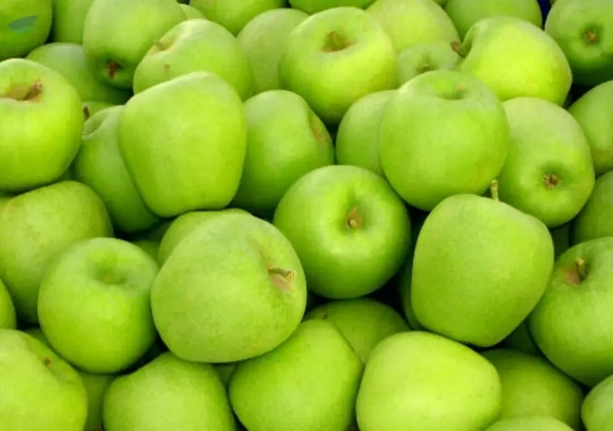 Quality Apples
