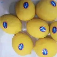 Quality Fresh Lemon