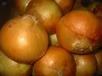 Quality Fresh Onions
