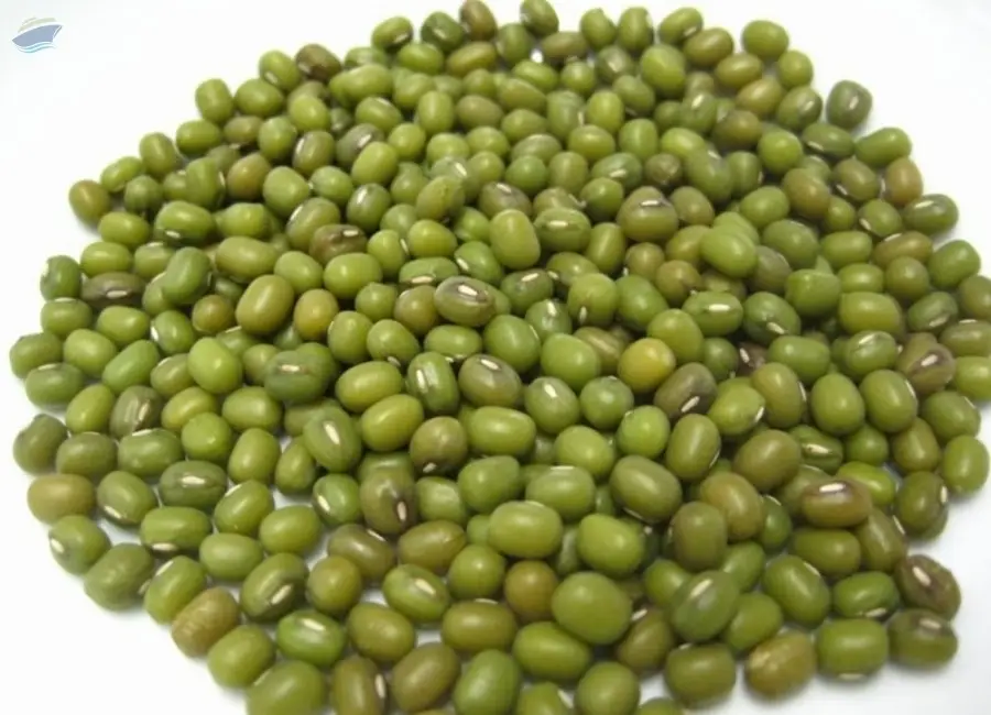 Premium Quality Mung Beans