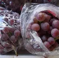 Fresh Quality Premium Grapes