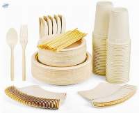 Disposable Environmentally Degradable Lunch Box