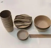 Disposable Degradable Plate Spoon Cup