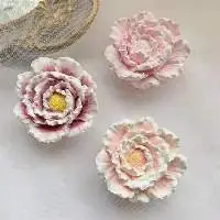 Gypsum Aromatherapy Crafts Gift Items