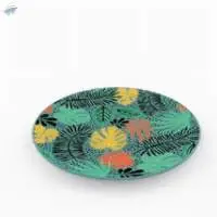 Biodegradable/cup,tumbler And Plate With Decal