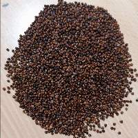Pepper