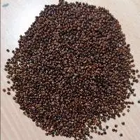 Pepper