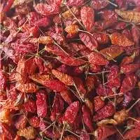 Bird's Eye Chilli