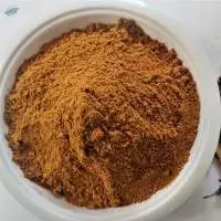 Paneer Masala
