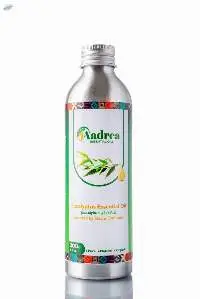 Eucalyptus Globulus Essential Oil