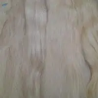 Human Hair Raw