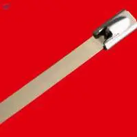 Stainless Steel Ties