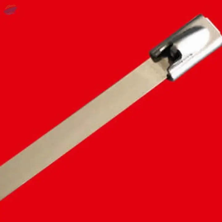 Stainless Steel Ties