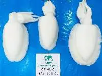 Cuttlefish Whole Cleaned Treated IQF