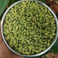 Green Cardamom