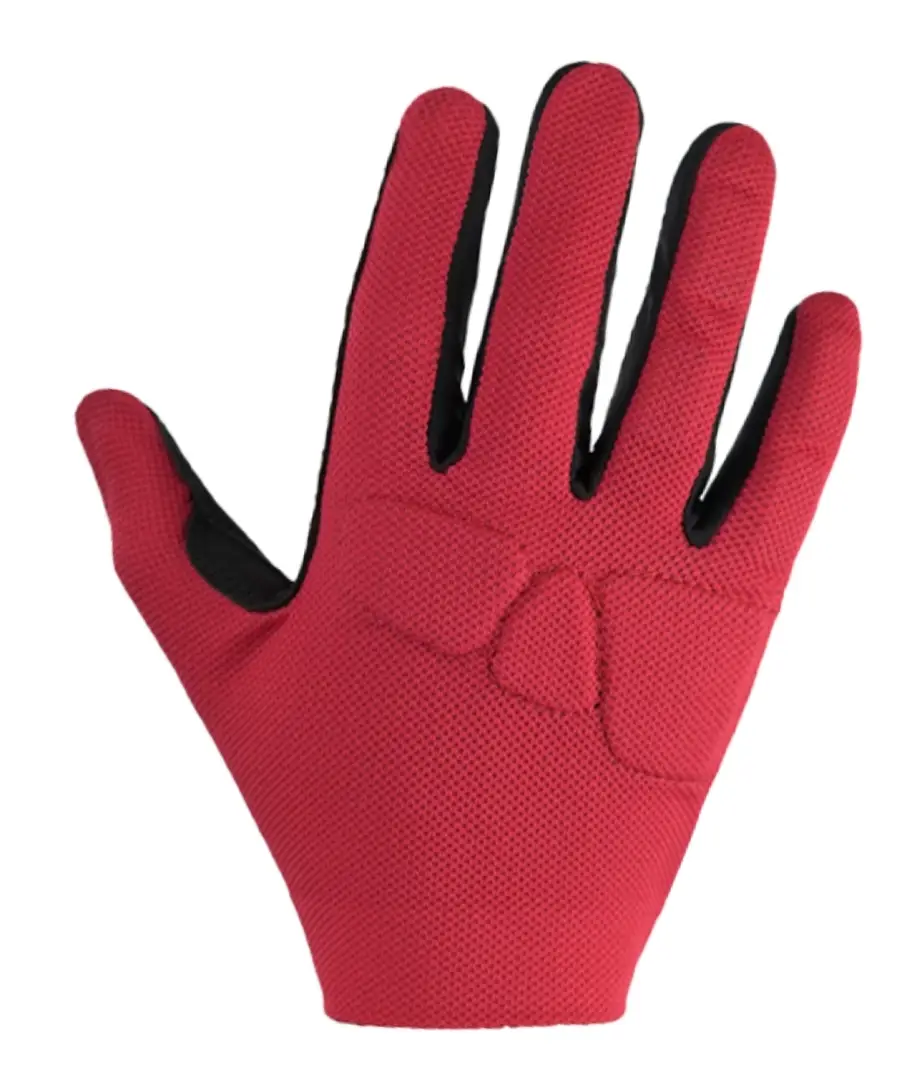 Cycling Avelio Leap