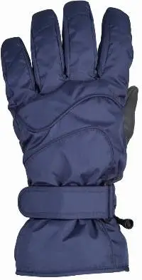 Ski Type 3.2 Gloves