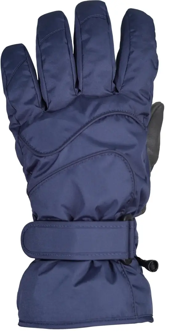Ski Type 3.2 Gloves