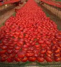 Dried Tomato Slices