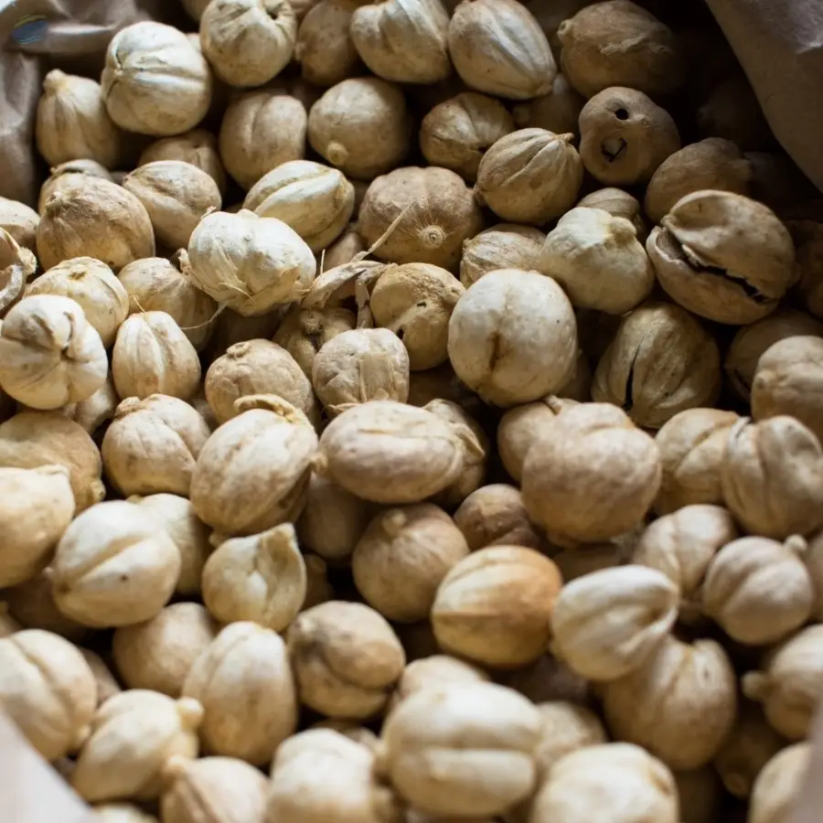 White Cardamom