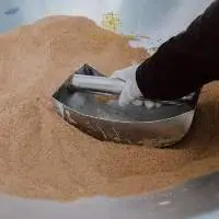 Organic Coconut Sugar