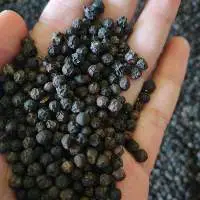 Lampung Black Pepper