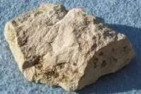 Limestone