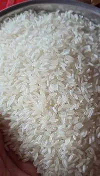 Jasmine Rice