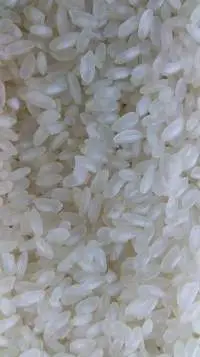 Camolino Rice