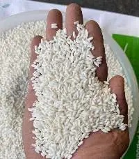 Glutinous rice